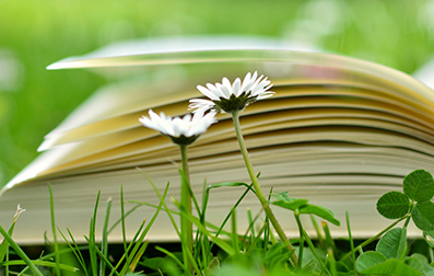 遼寧成考 成人高考高升本